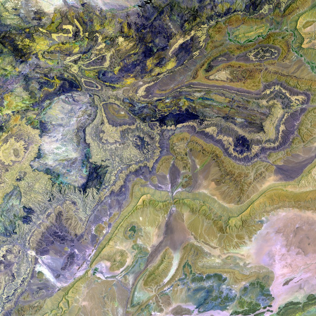 Students learning with digital technology